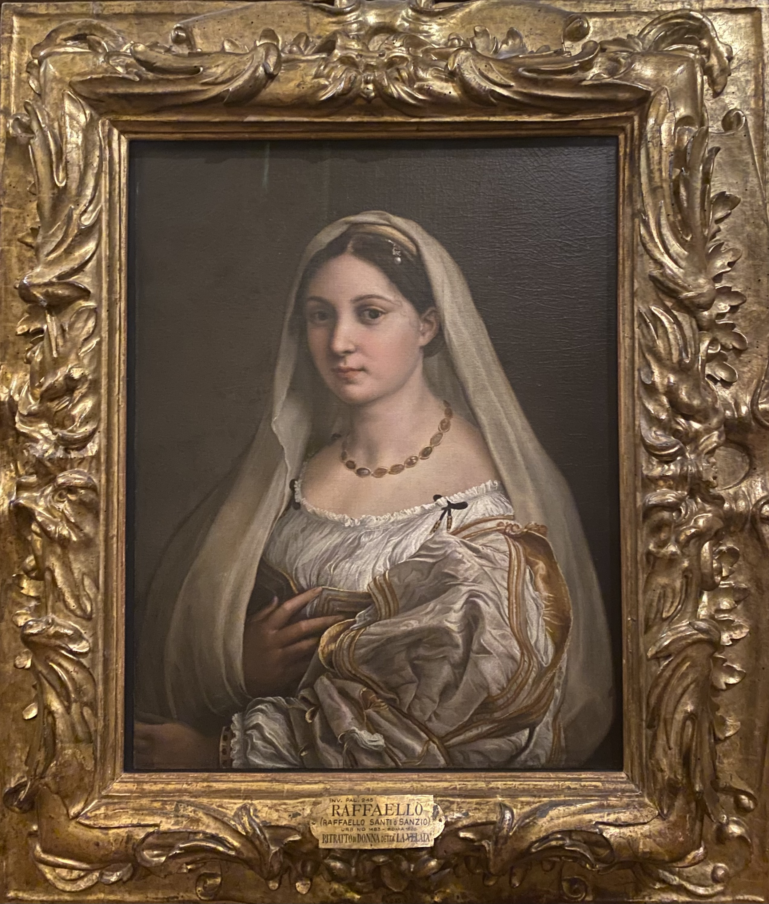 Raffaello Sanzio
Portrait of a Veiled Woman
Pitti Palace