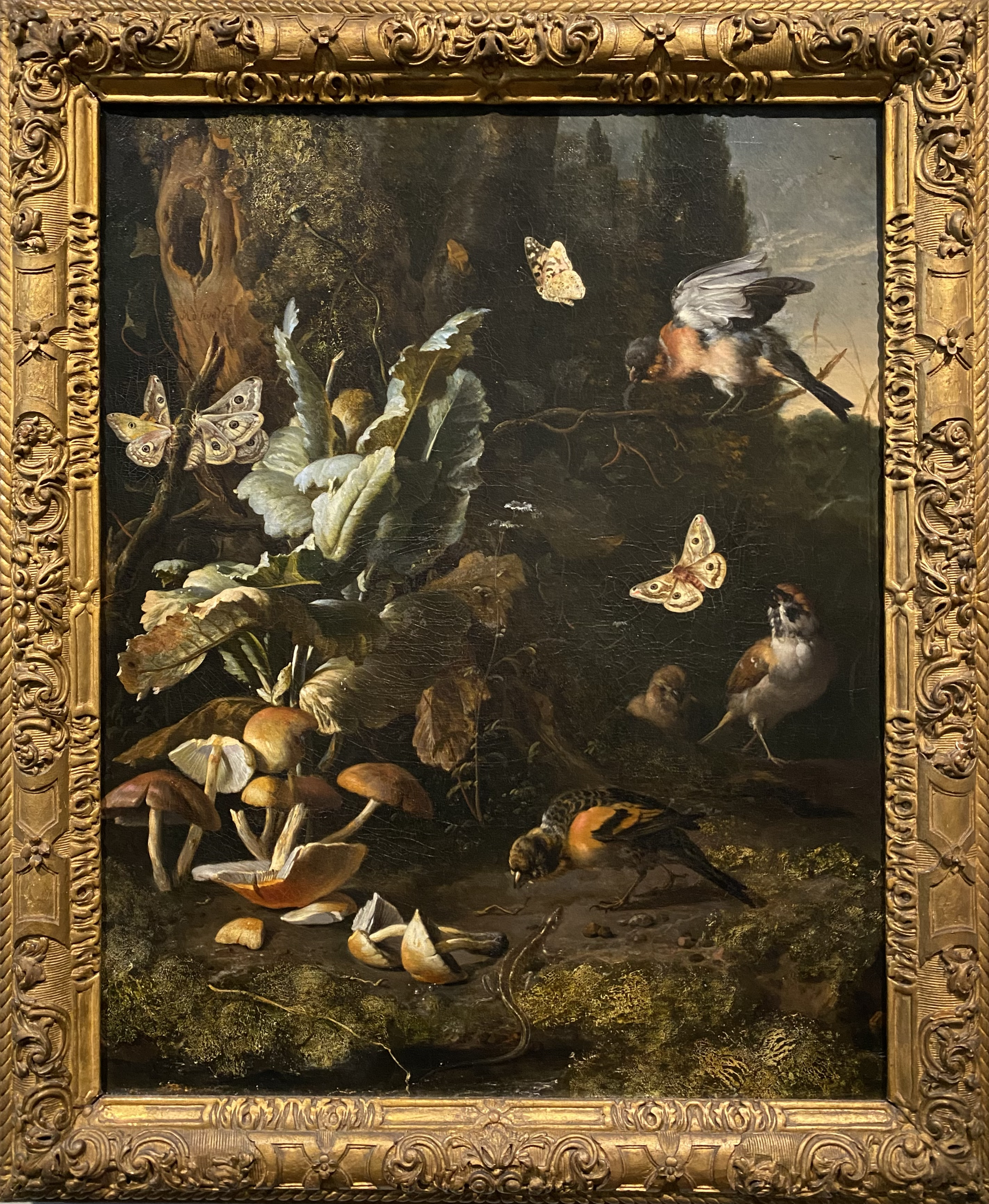 Melchior d'Hondecoeter
Forest Floor Still Life with Birds, Butterflies and a Lizard
Rijksmuseum