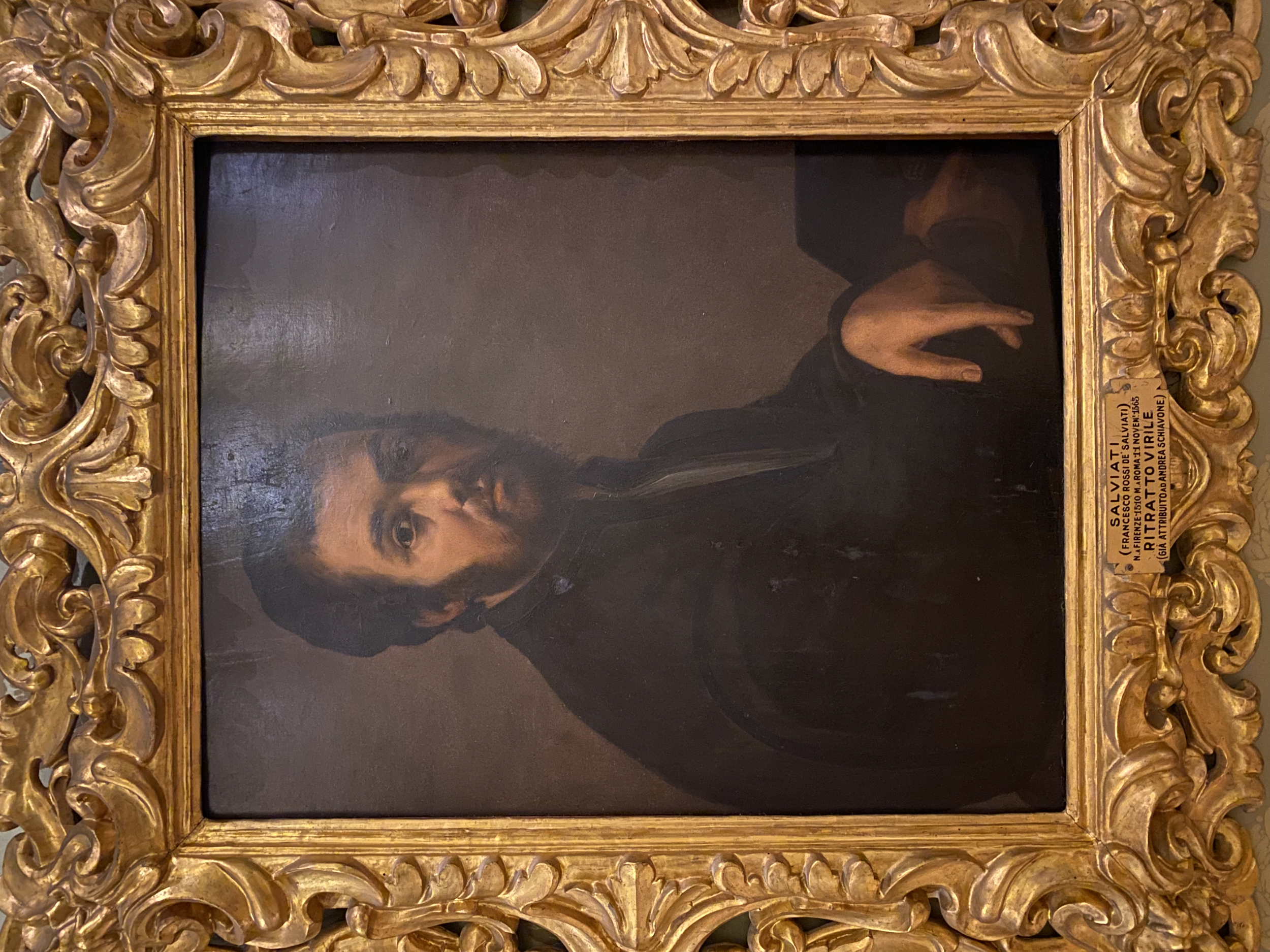 Francesco Salviati
Virile Portrait
Pitti Palace