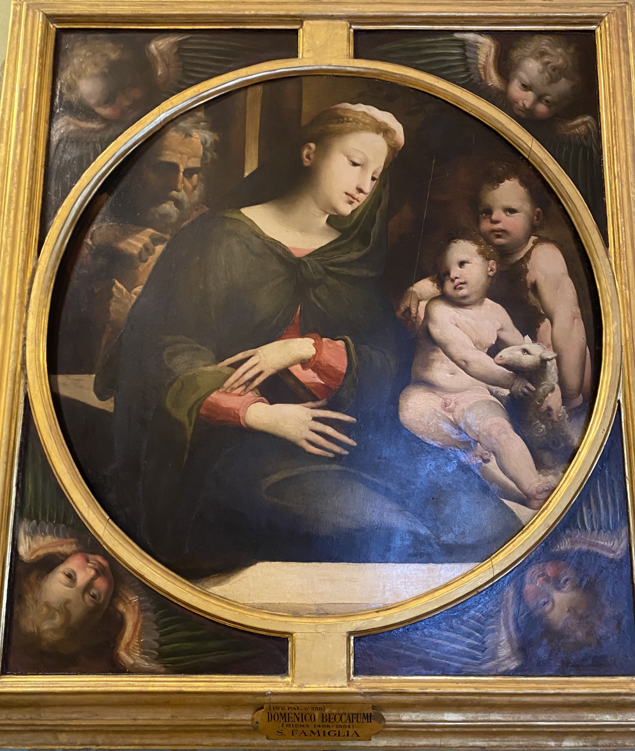 Domenico Beccafumi
Sacra Famiglia
Pitti Palace