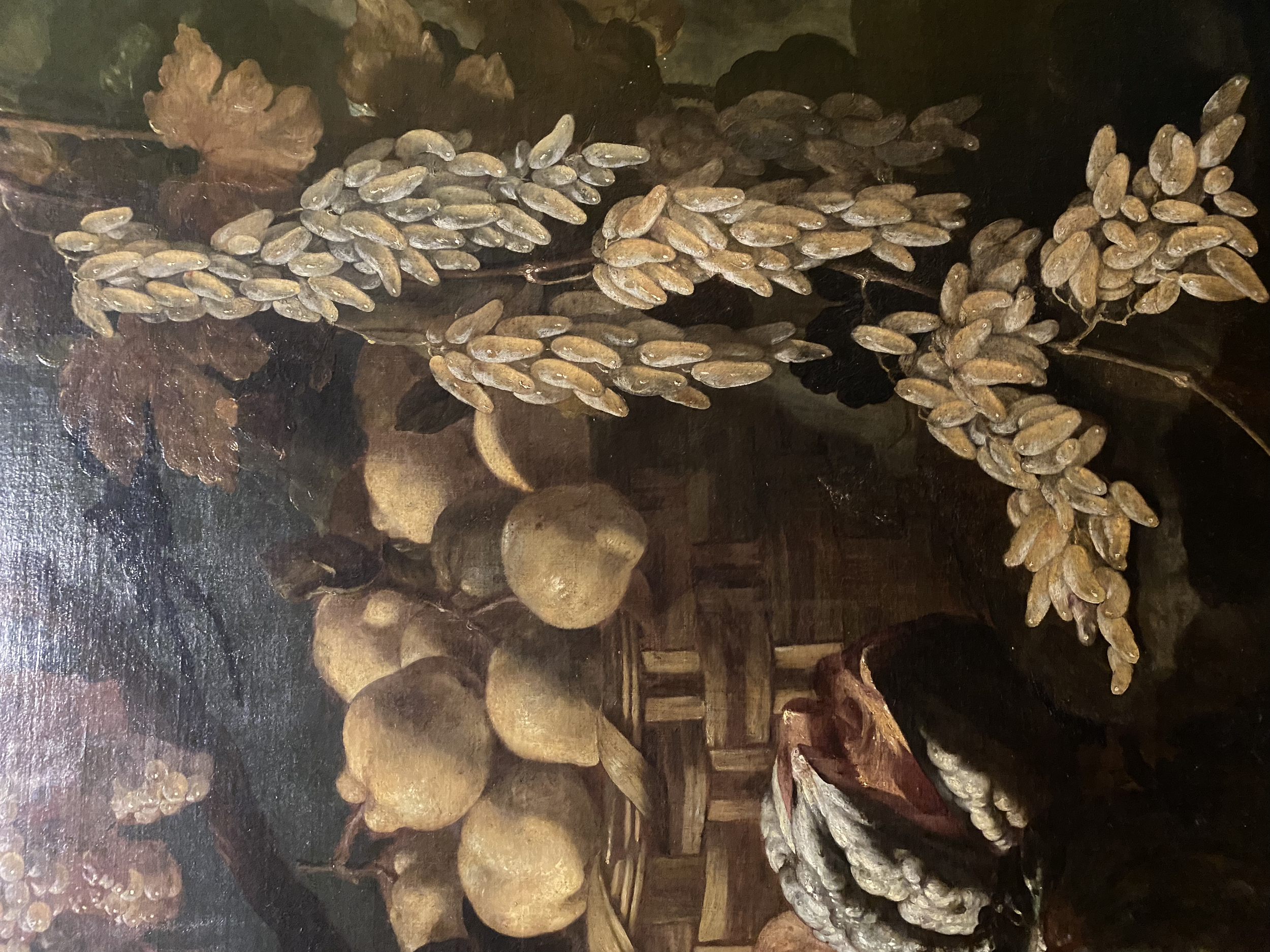 Giuseppe Recco
Still Life with Flowers and Fruit (detail)
Capodimonte