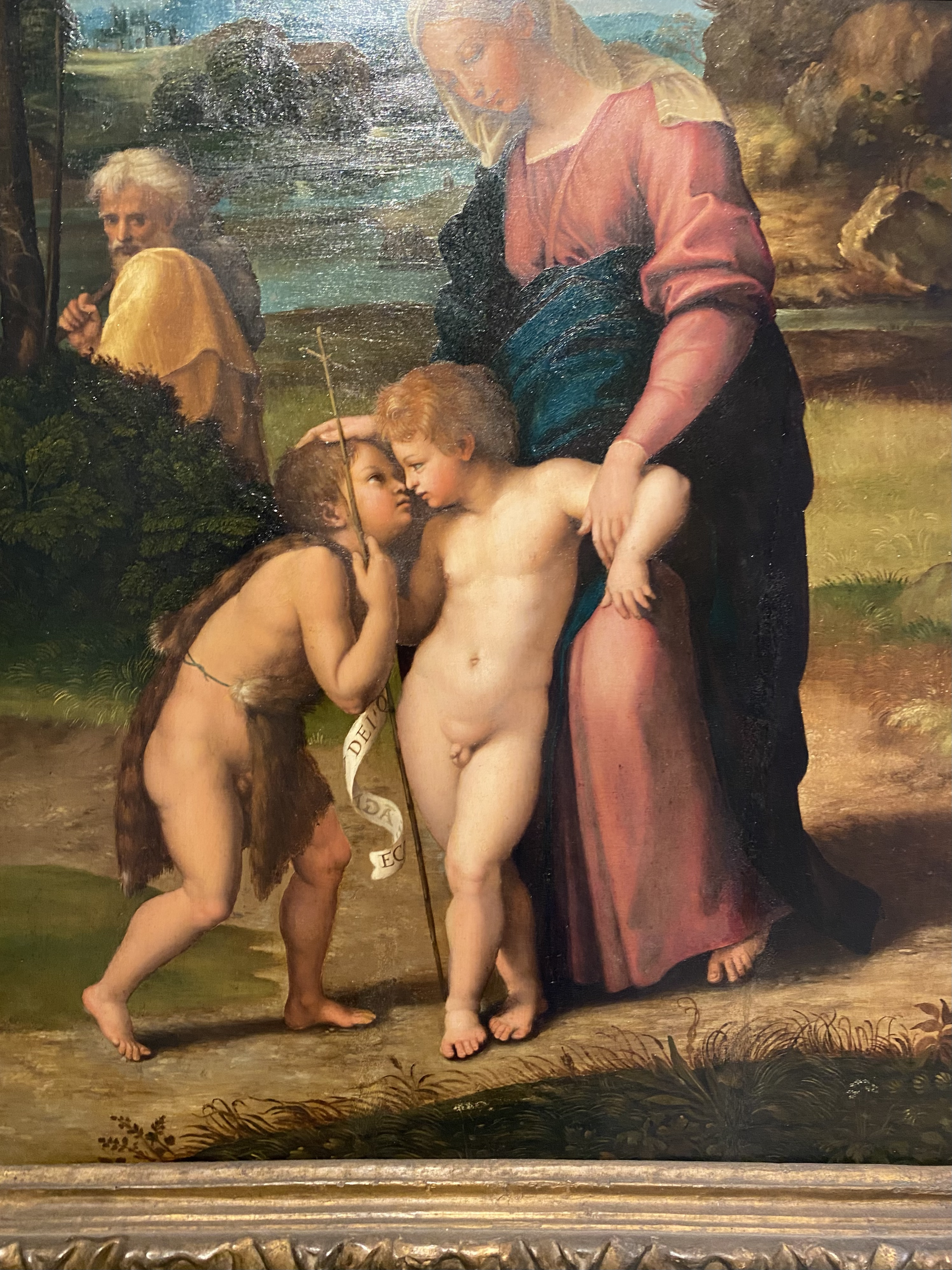 Raffaello Sanzio
Madonna del Passeggio, Madonna of the Walk (detail)
Capodimonte