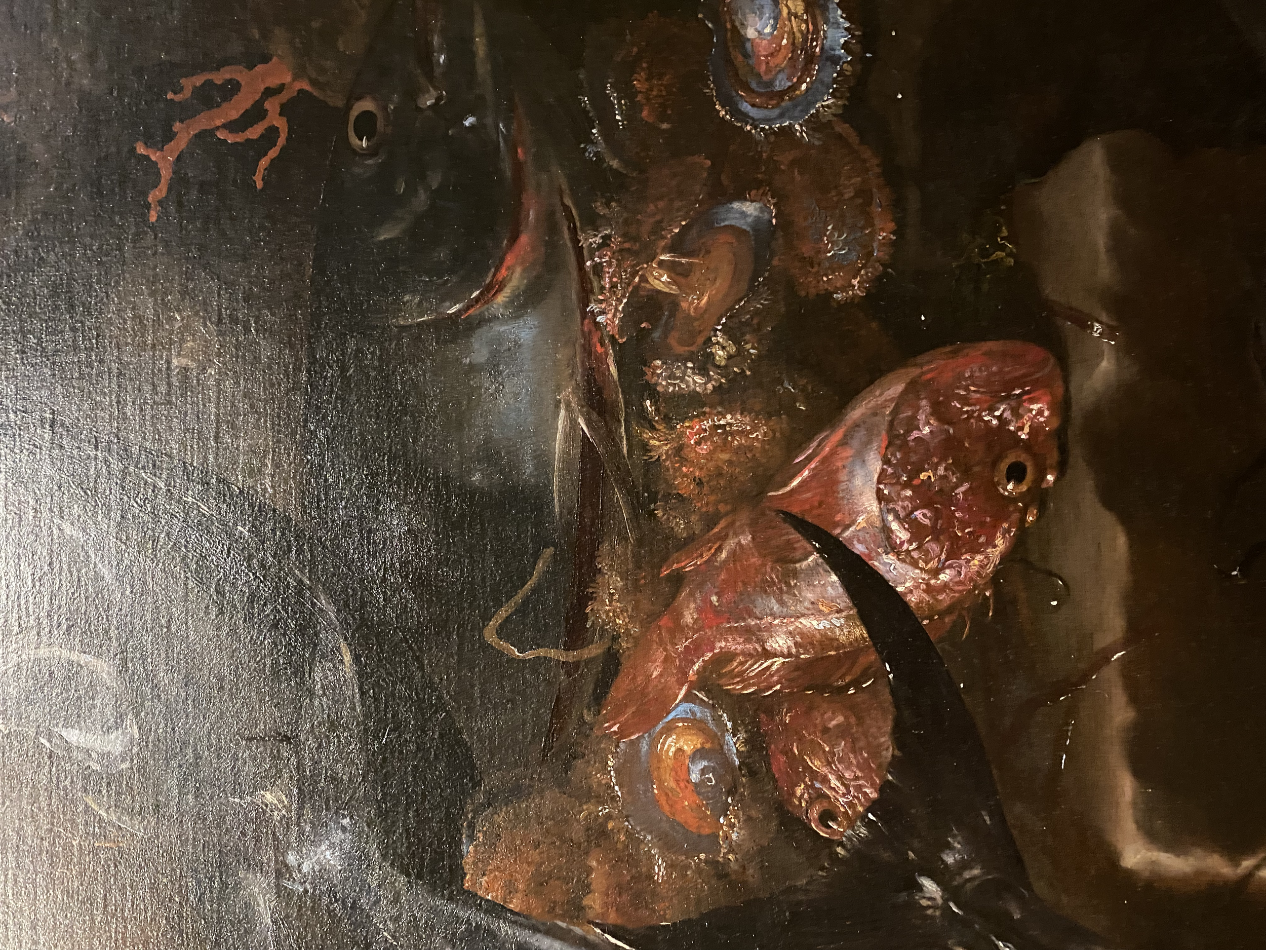Giuseppe Recco
Still Life with Fish and Other Marine Life (detail)
Capodimonte