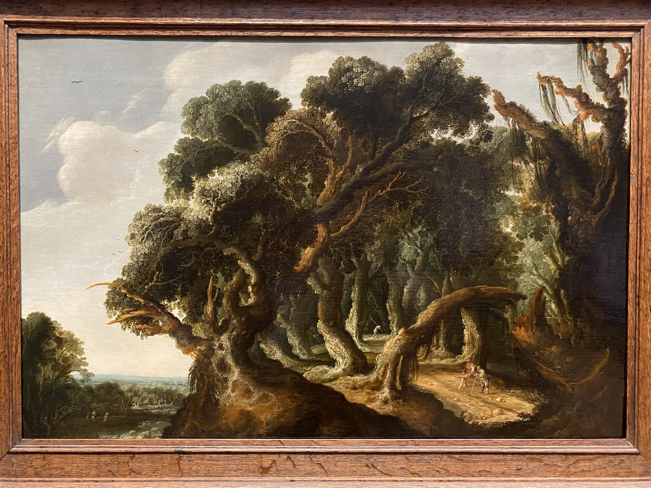 Jacob Jacobsz van Geel
Wooded Landscape
Rijksmuseum