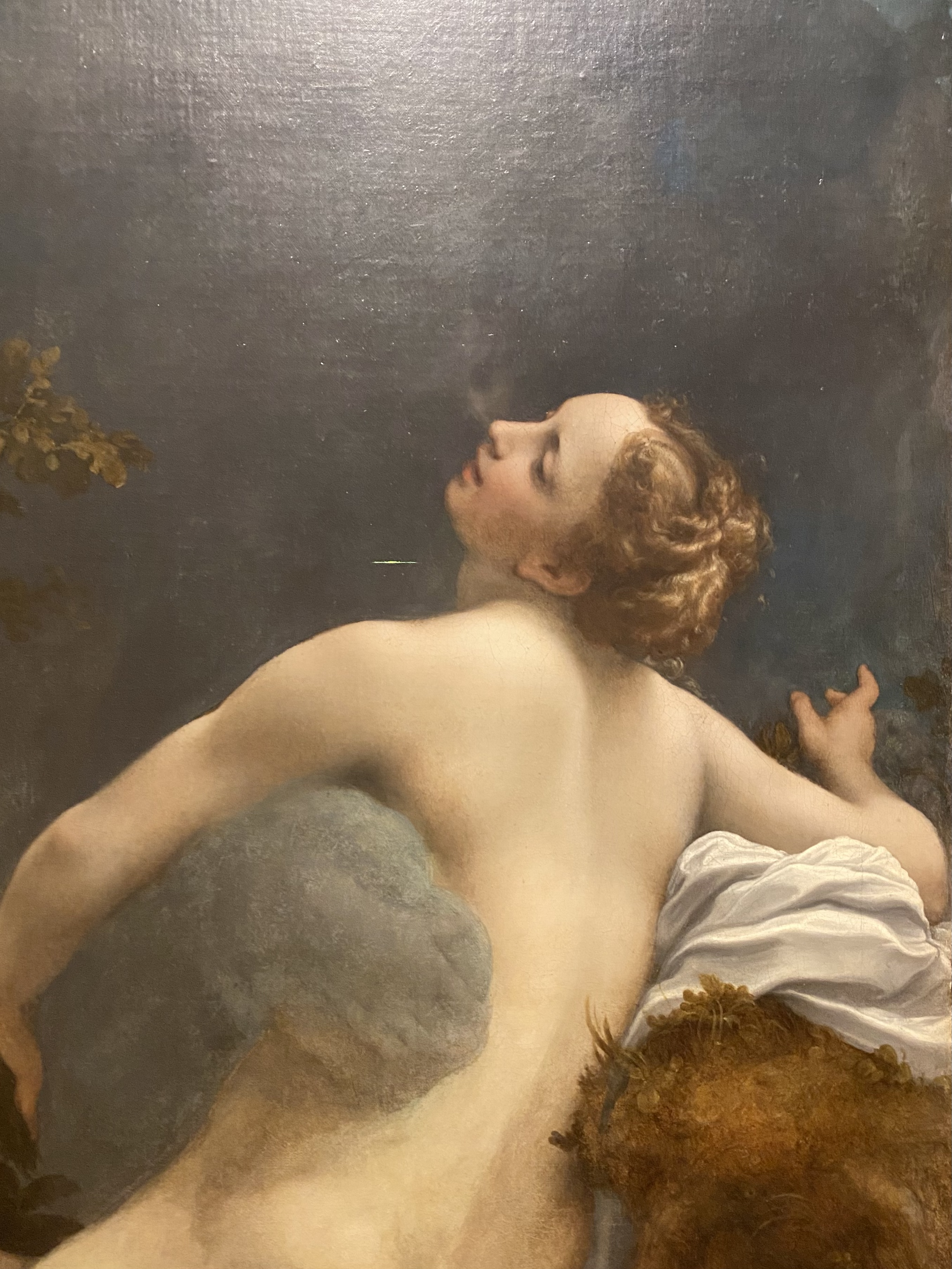 Correggio
Jupiter and Io (detail)
Kunsthistorisches
