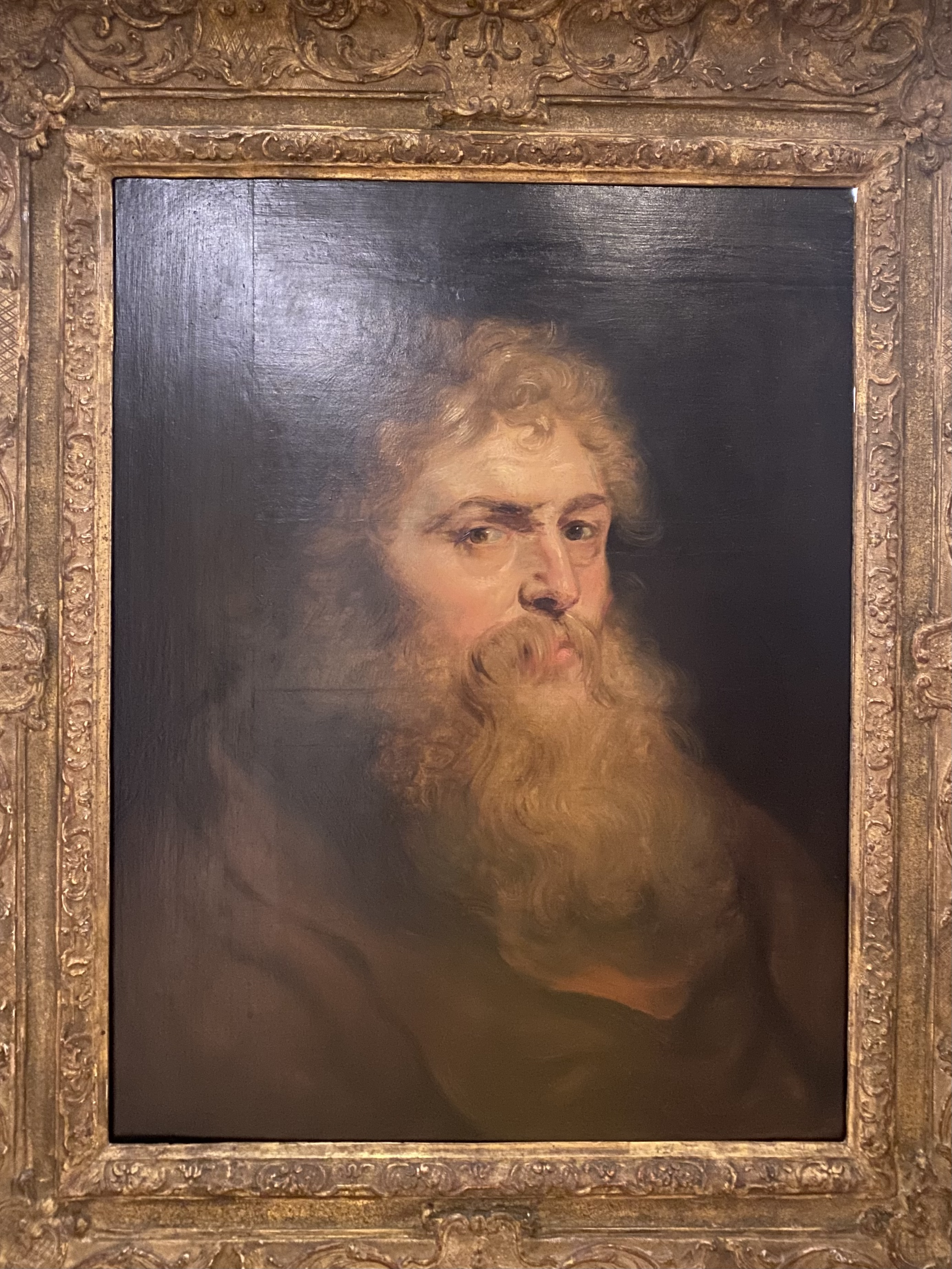 Peter Paul Rubens
Head of a Bearded Man
Soumaya