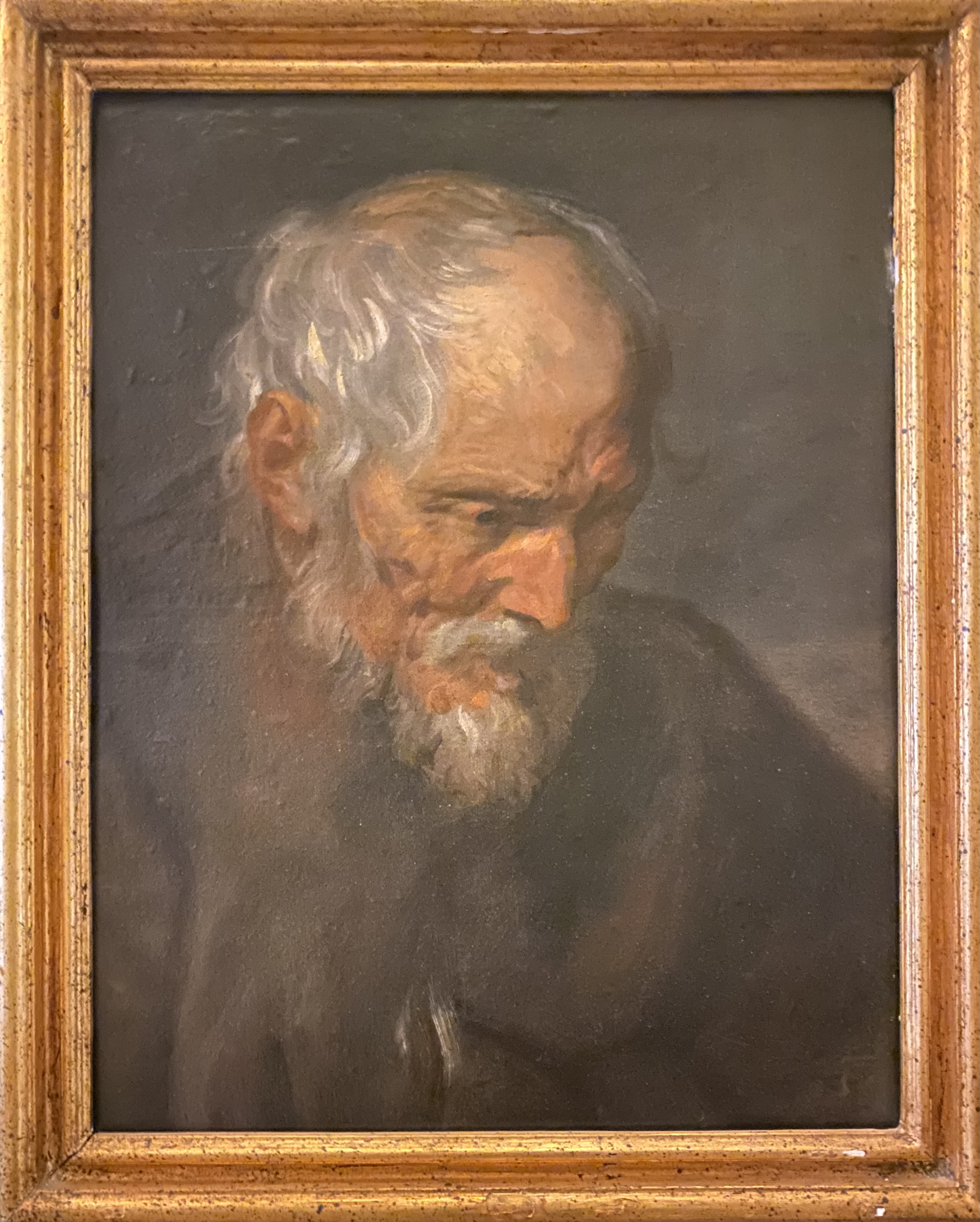 Anthony van Dyck
Testa di vecchio
Capodimonte