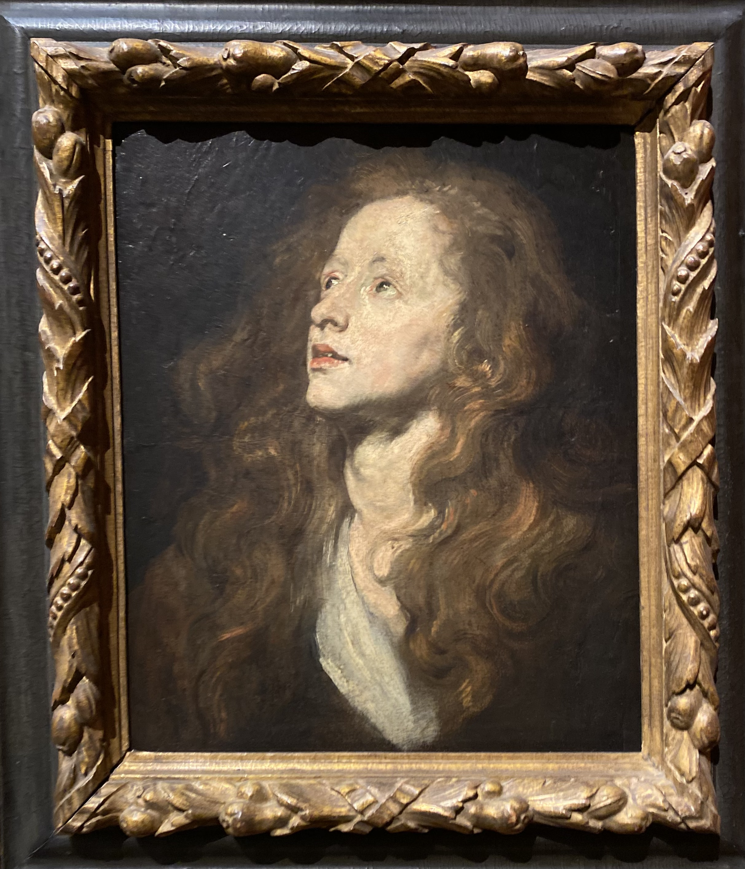 Anthony van Dyck
Study of a Woman's Head Looking Up
Kunsthistorisches