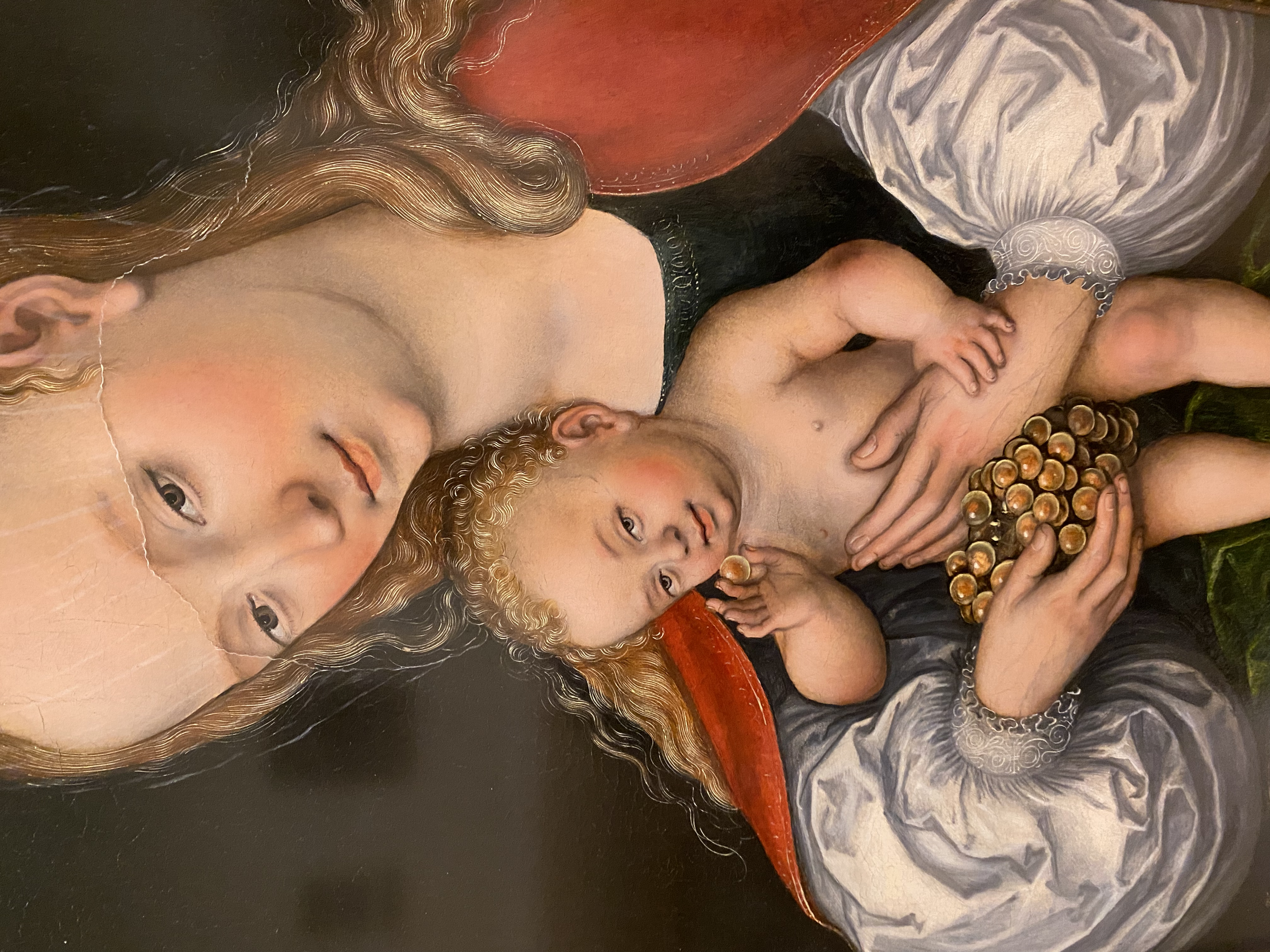 Lucas Cranach the Elder
Madonna and Child with Grapes
Minneapolis Institute of Art