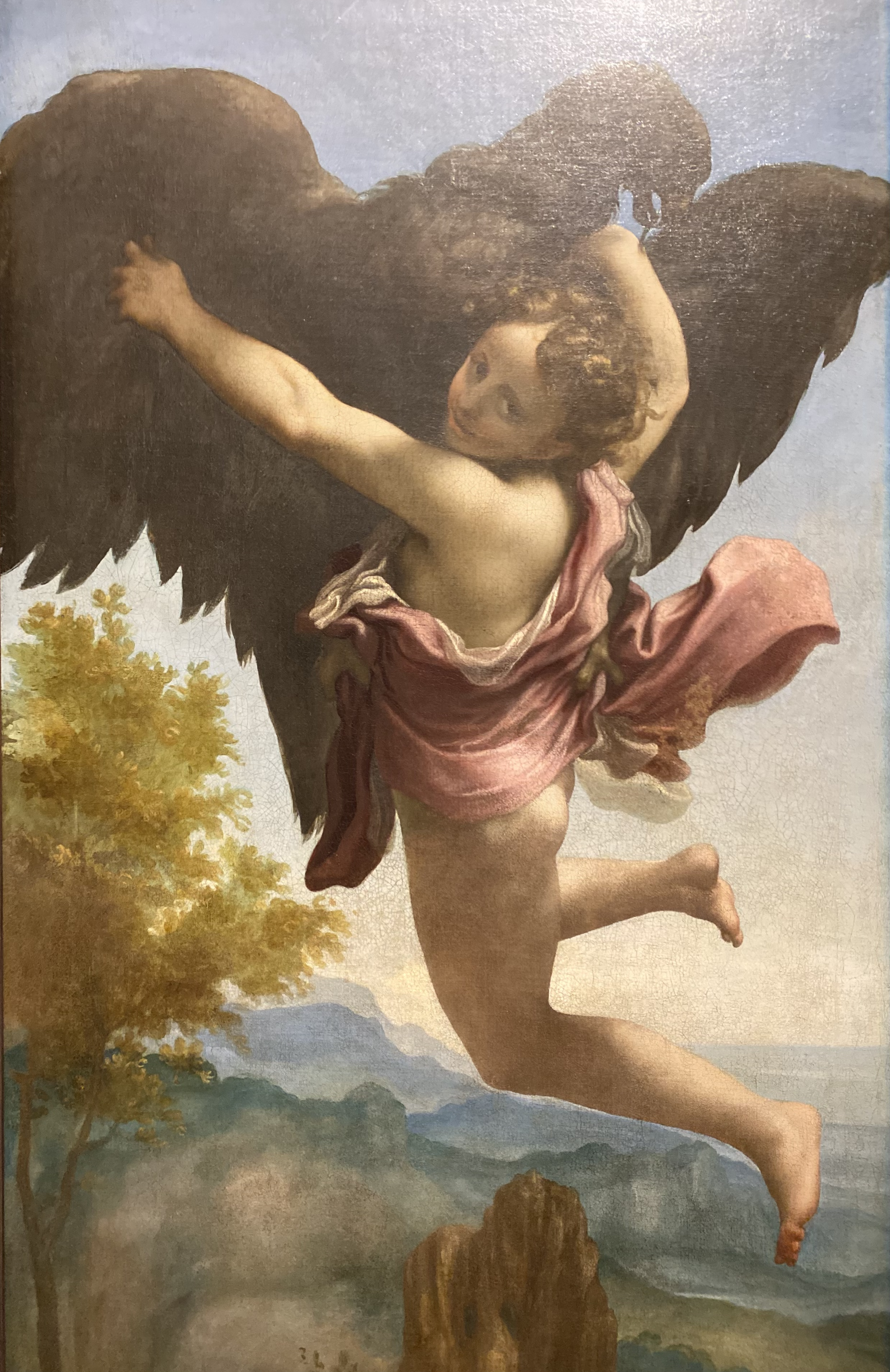 Correggio
The Abduction of Ganymede (detail)
Kunsthistorisches