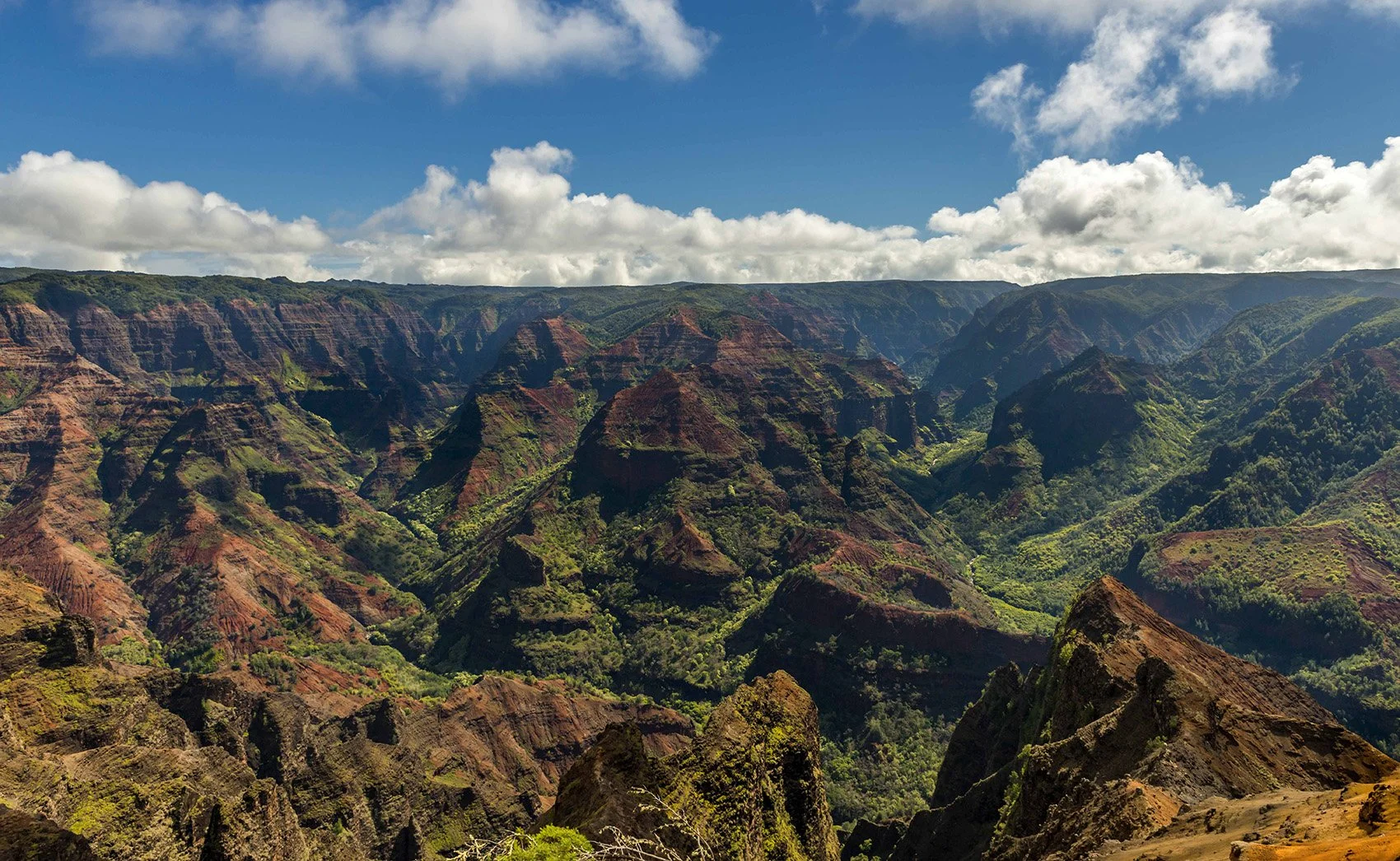 Waimea Canyon.jpeg
