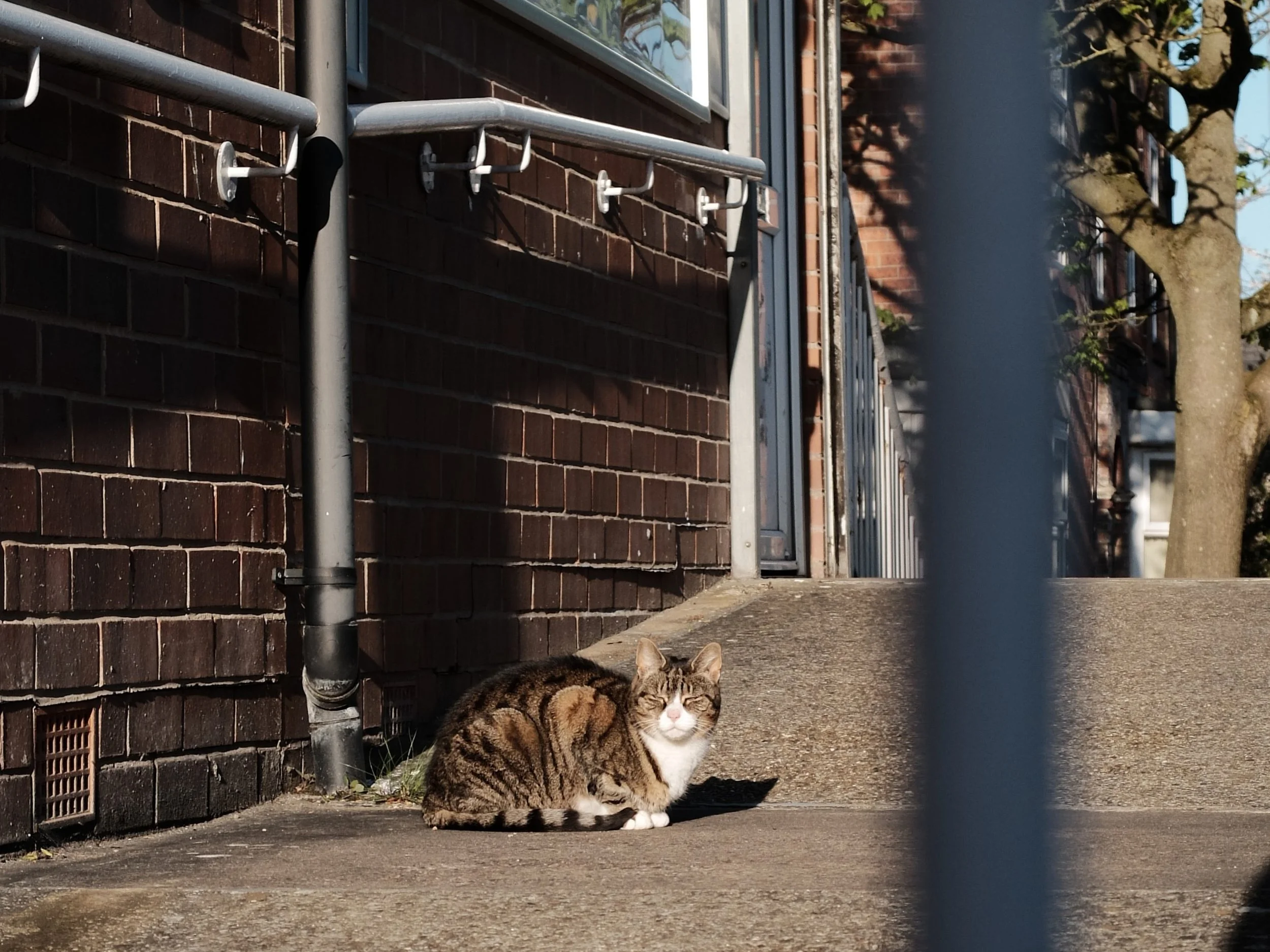 Sheffield, South Yorkshire