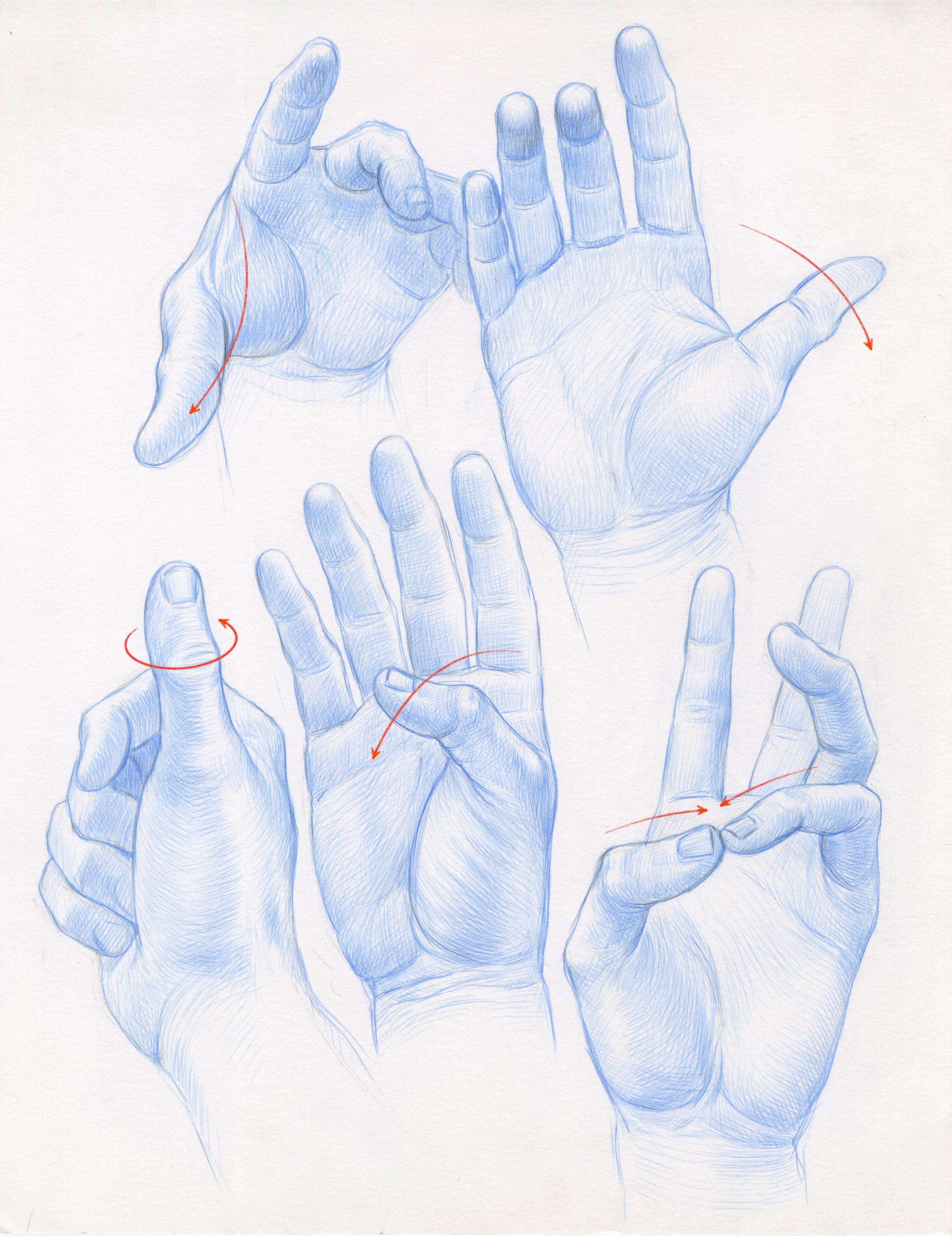 Hands montato copy 2 (1).jpg