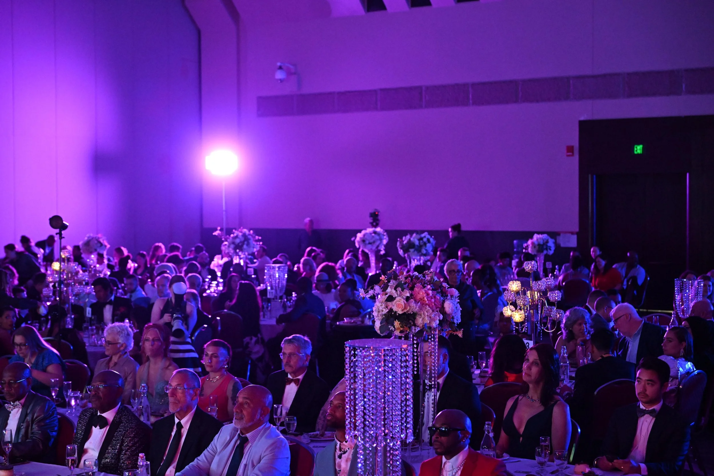 The Portraits of Pride Ball — Boston LGBTQ+ Museum of Art, History The Portraits of Pride Ball — Boston LGBTQ+ Museum of Art, History