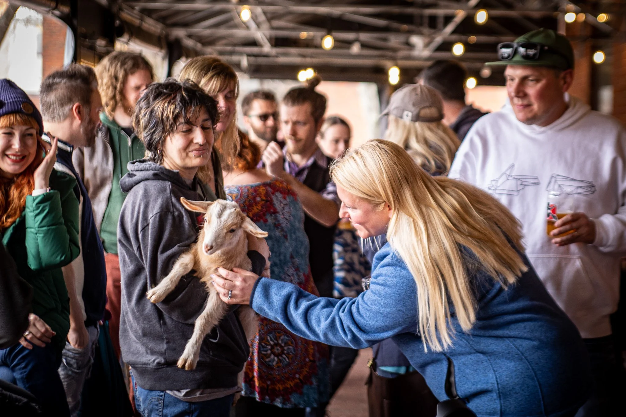 Baby Goat Hangout 