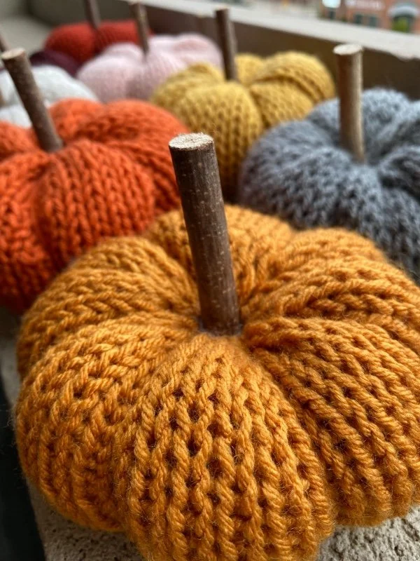 Beginner Knitting Workshop: Pumpkins!