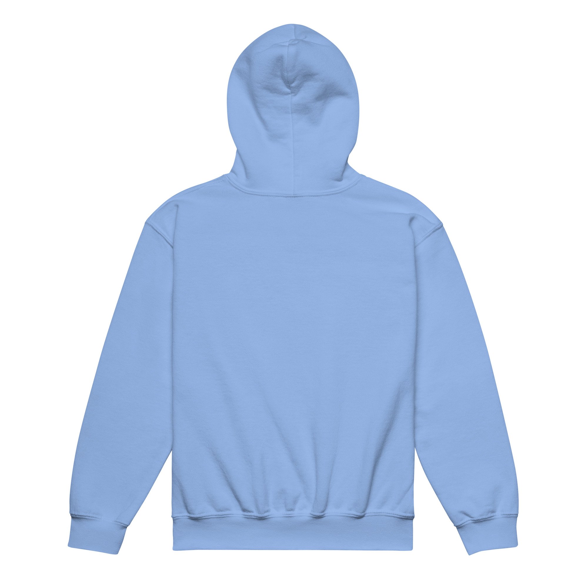 youth-heavy-blend-hoodie-carolina-blue-back-68920db6b0e83.jpg