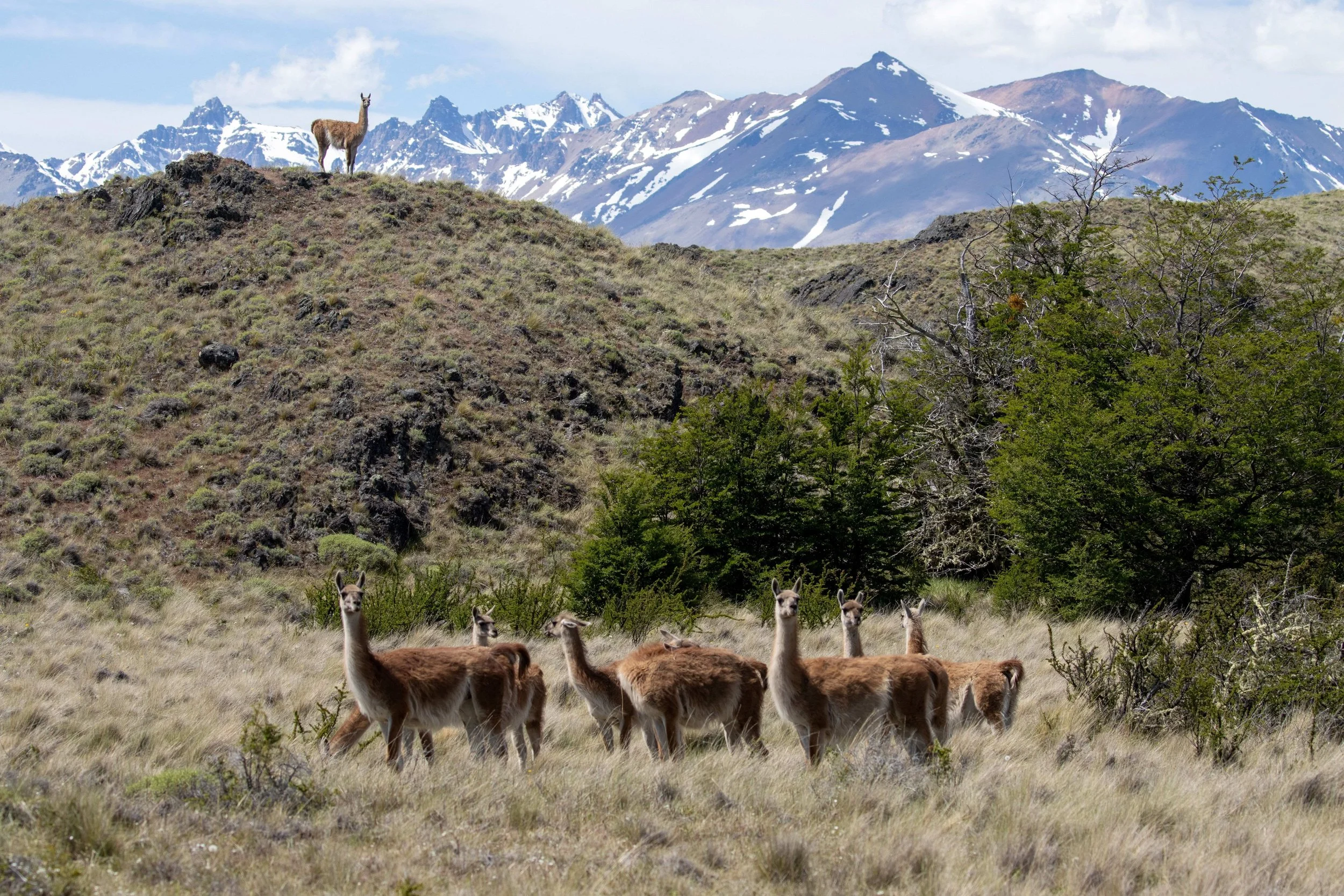 Celebration of the Spririt (Feest van de Geest) Thematic Art Exhibition