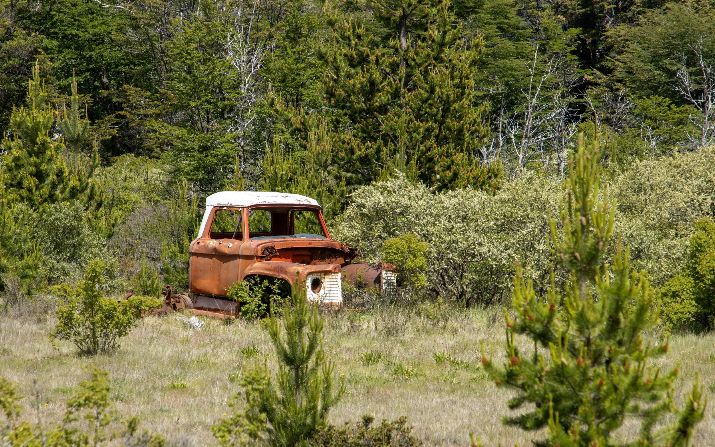 #internationalharvester #patagonia #chili
