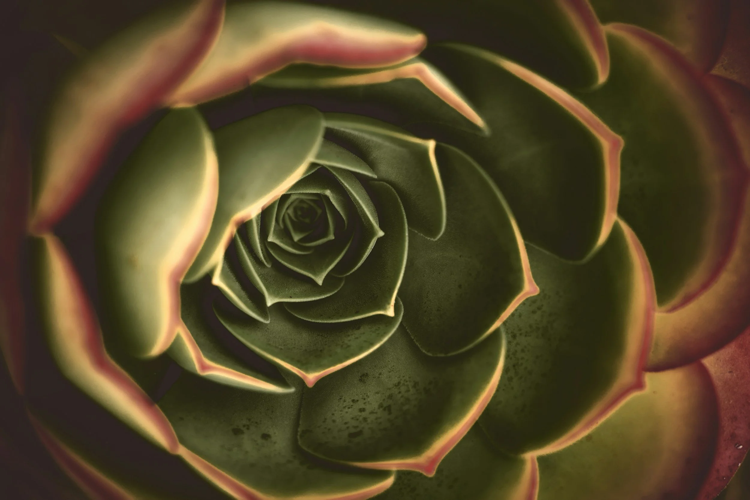 Organic eco-friendly hair salon Jacksonville Beach FL — Phi Eco Salon