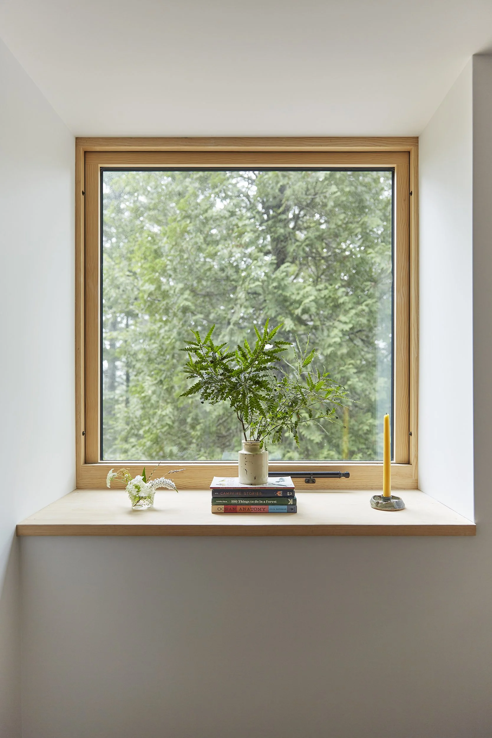 MossHouse 20232914.jpg