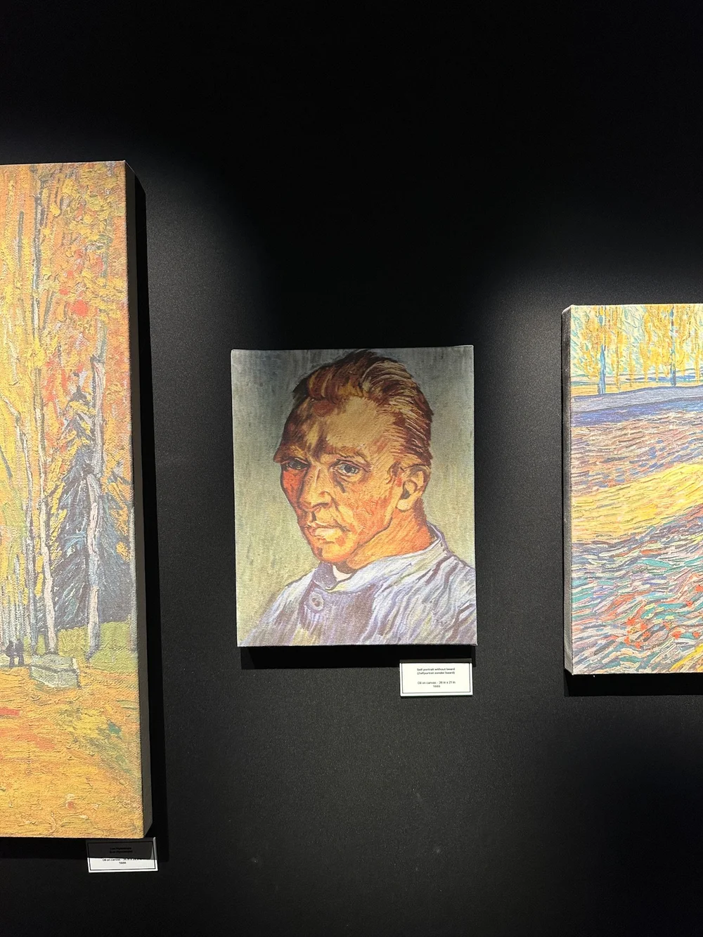 Self Portrait without Beard