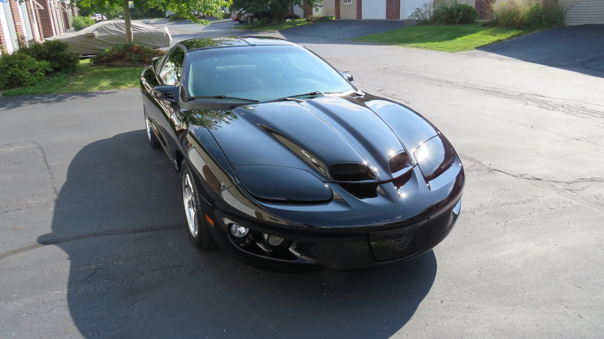 1998 Firebird Formula WS-6 received a multi-step paint correction while still preserving the factory finish. Hydr8 ceramic coating was selected for it's unique filling ability to reduce the look of remaining deeper scratches.