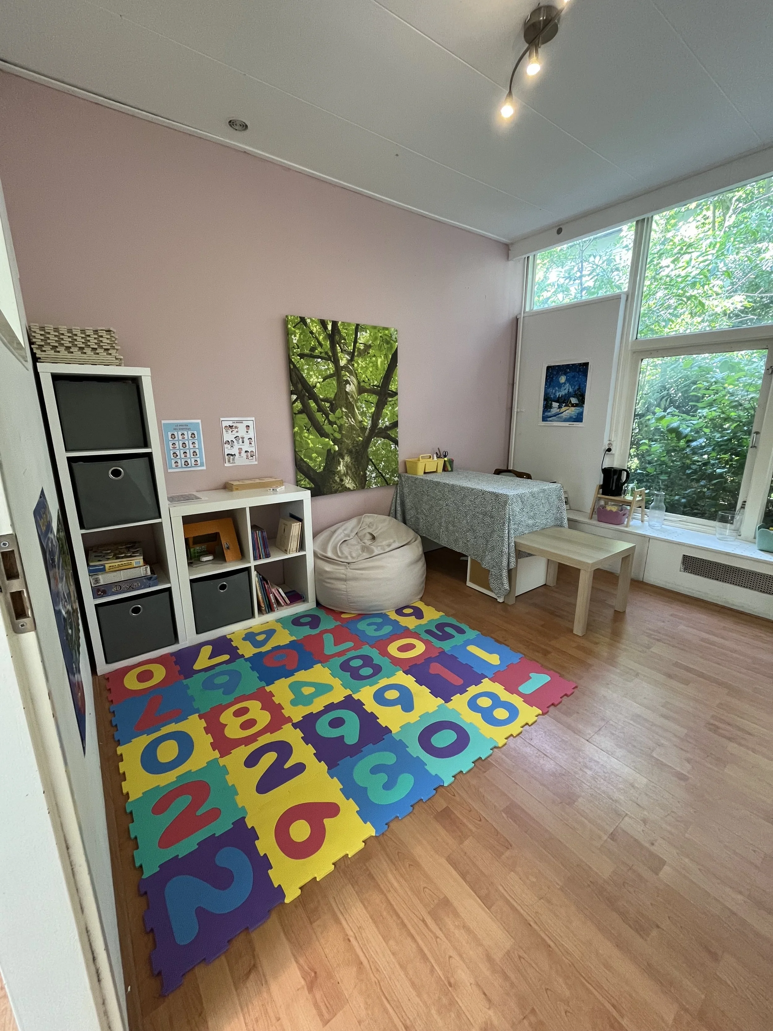 Cabinet d'Alix Le Guilcher, Psychologue clinicienne à Amsterdam pour la communauté francophone