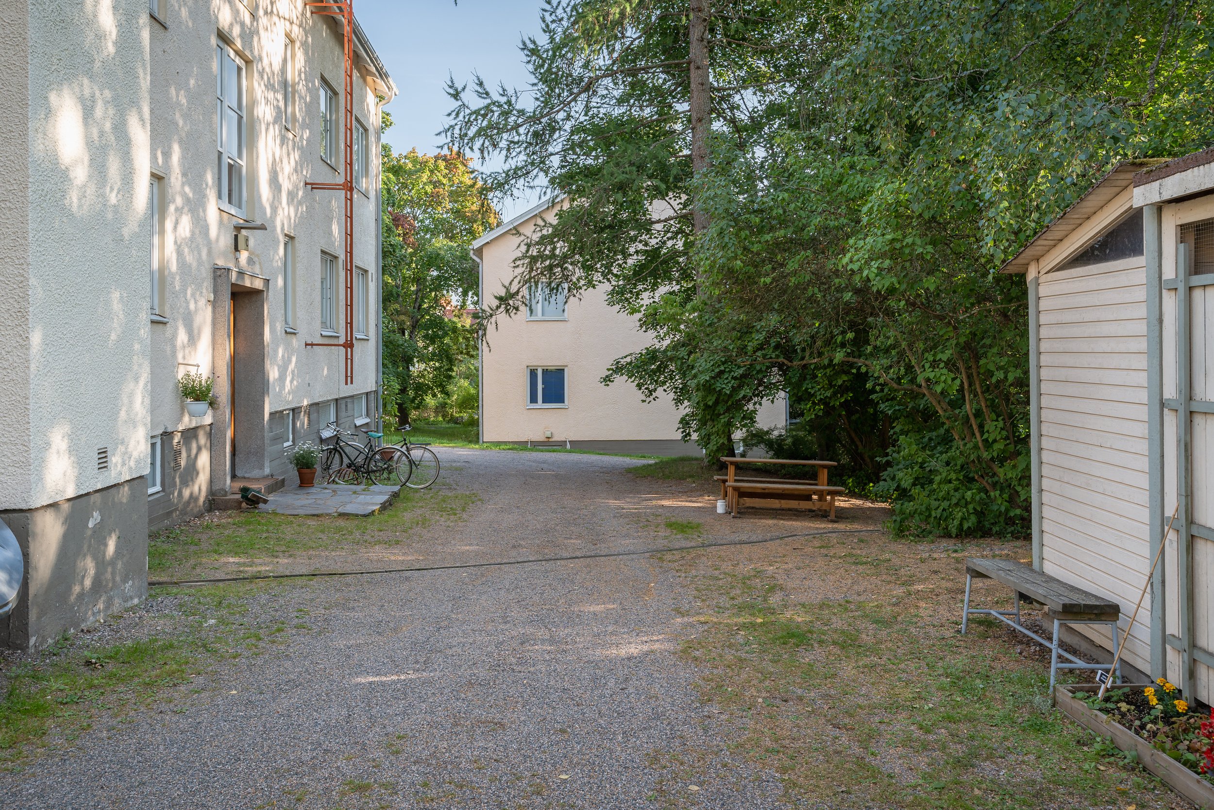 Susitie-16.jpg
