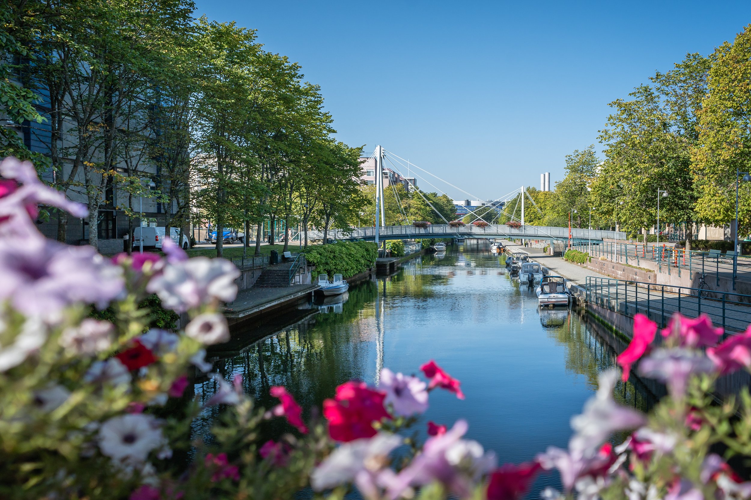 Laivapojankatu-24.jpg