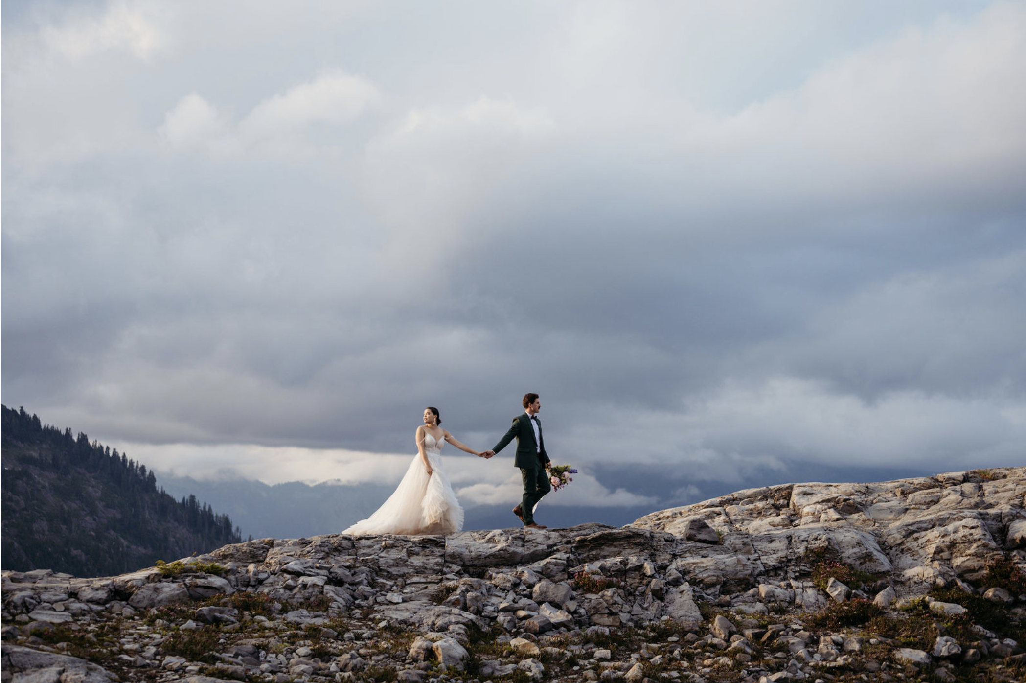 Screen Shot 2024-08-08 at 4.17.14 PM.png