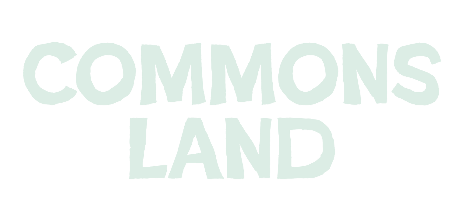Commons Land