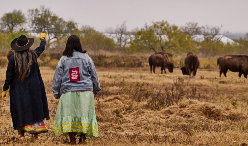 Land Secured for Texas Tribal Buffalo Project Expansion — Texas Tribal ...