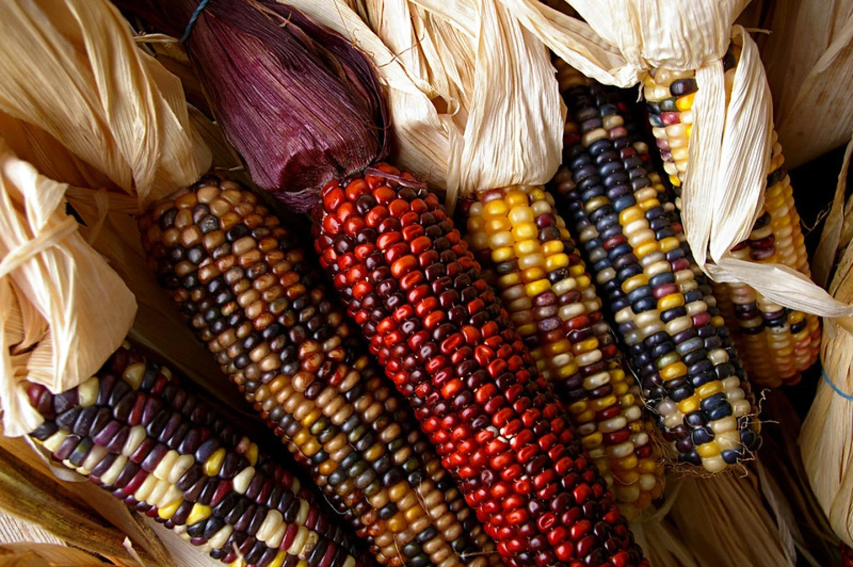 KUNM: This soup season, learn more about Pueblo soups made with pre-contact ingredients