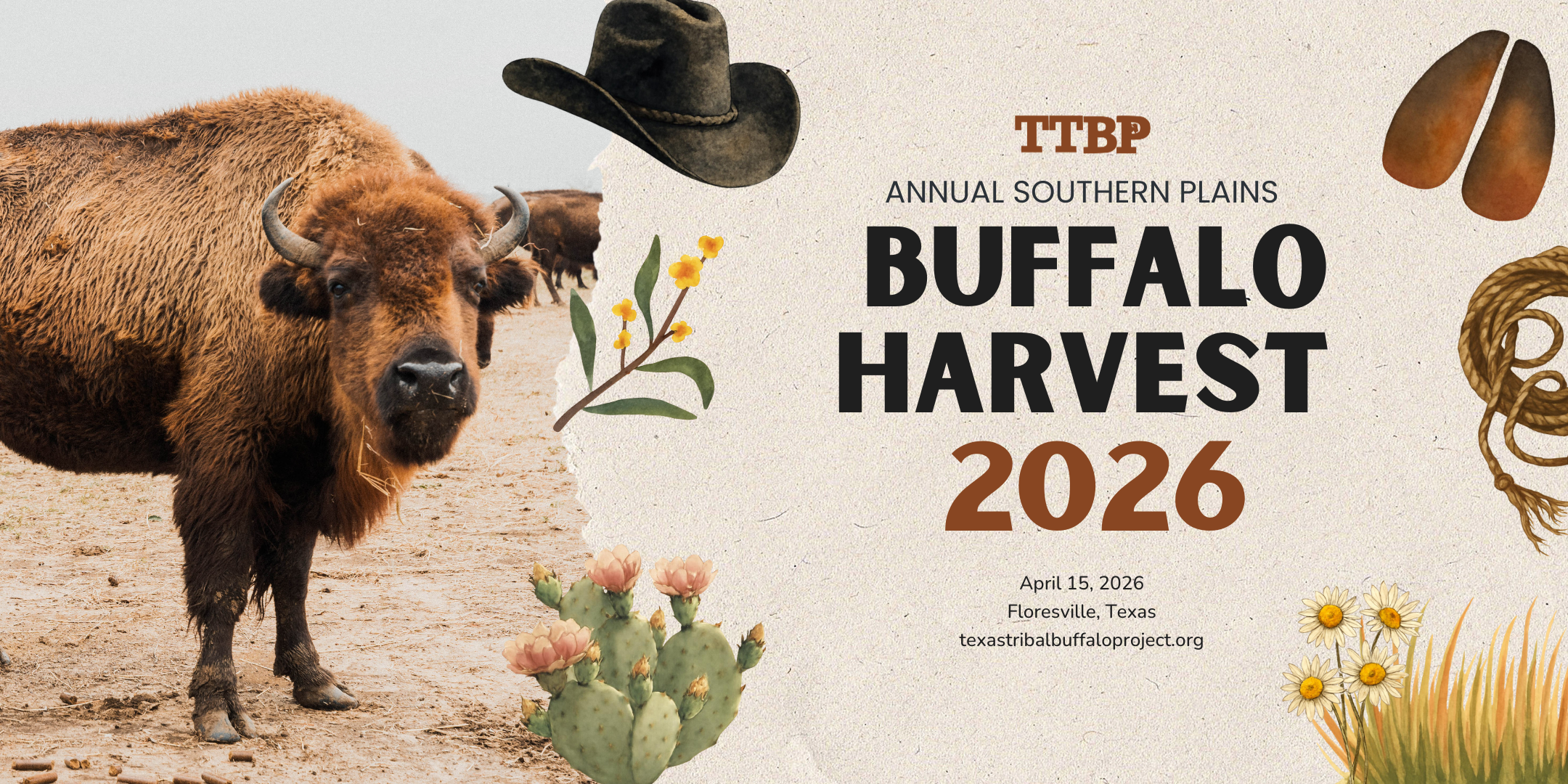 2026 Southern Plains Buffalo Harvest