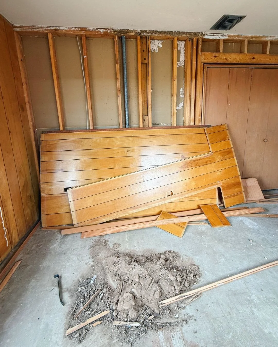 Tiny Invaders, Big Fight Ahead: Help Us Save the Iyanee' Ranch House from Termite Damage