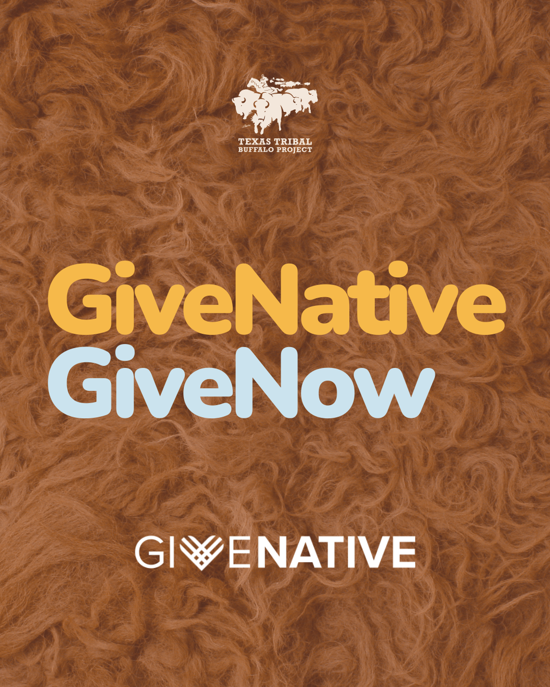 Texas Tribal Buffalo Project Wins $1,000 GiveNative “Running on Indian Time” Prize