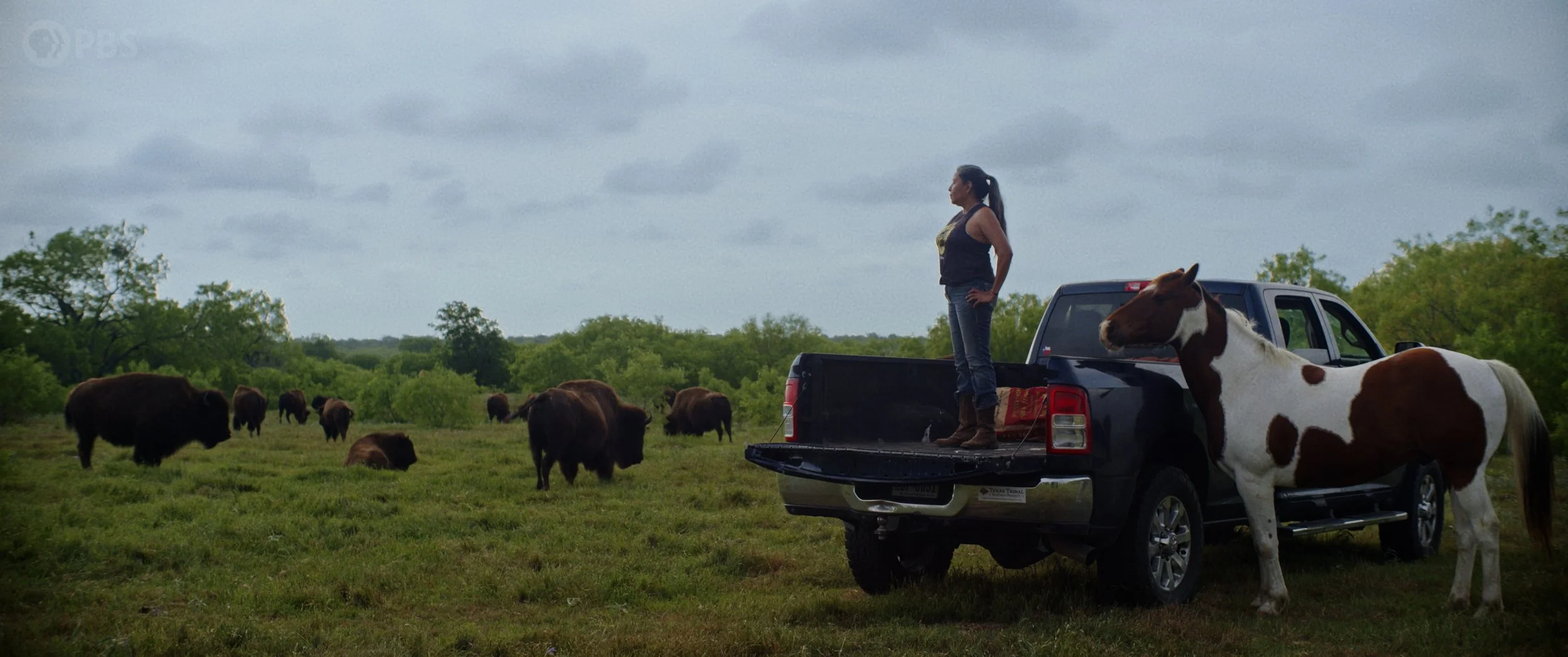 TTBP Awarded Federal Grant to Train the Next Generation of Iyane'e Caretakers