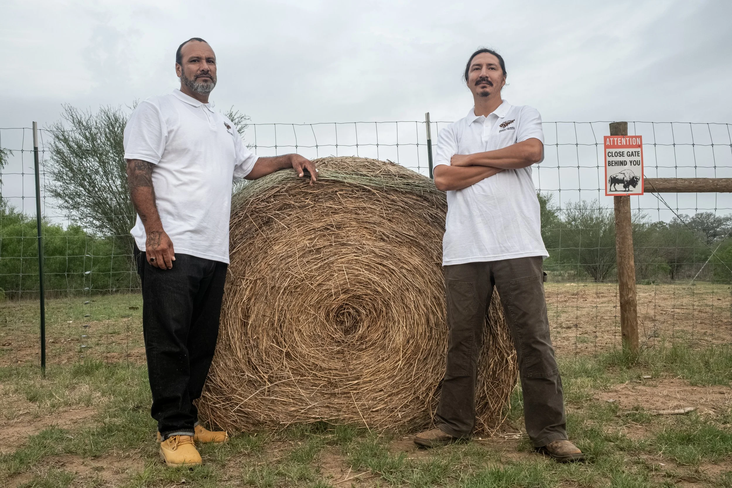 Buffalo Harvest 2026 - Bill McCullough - 137.jpg