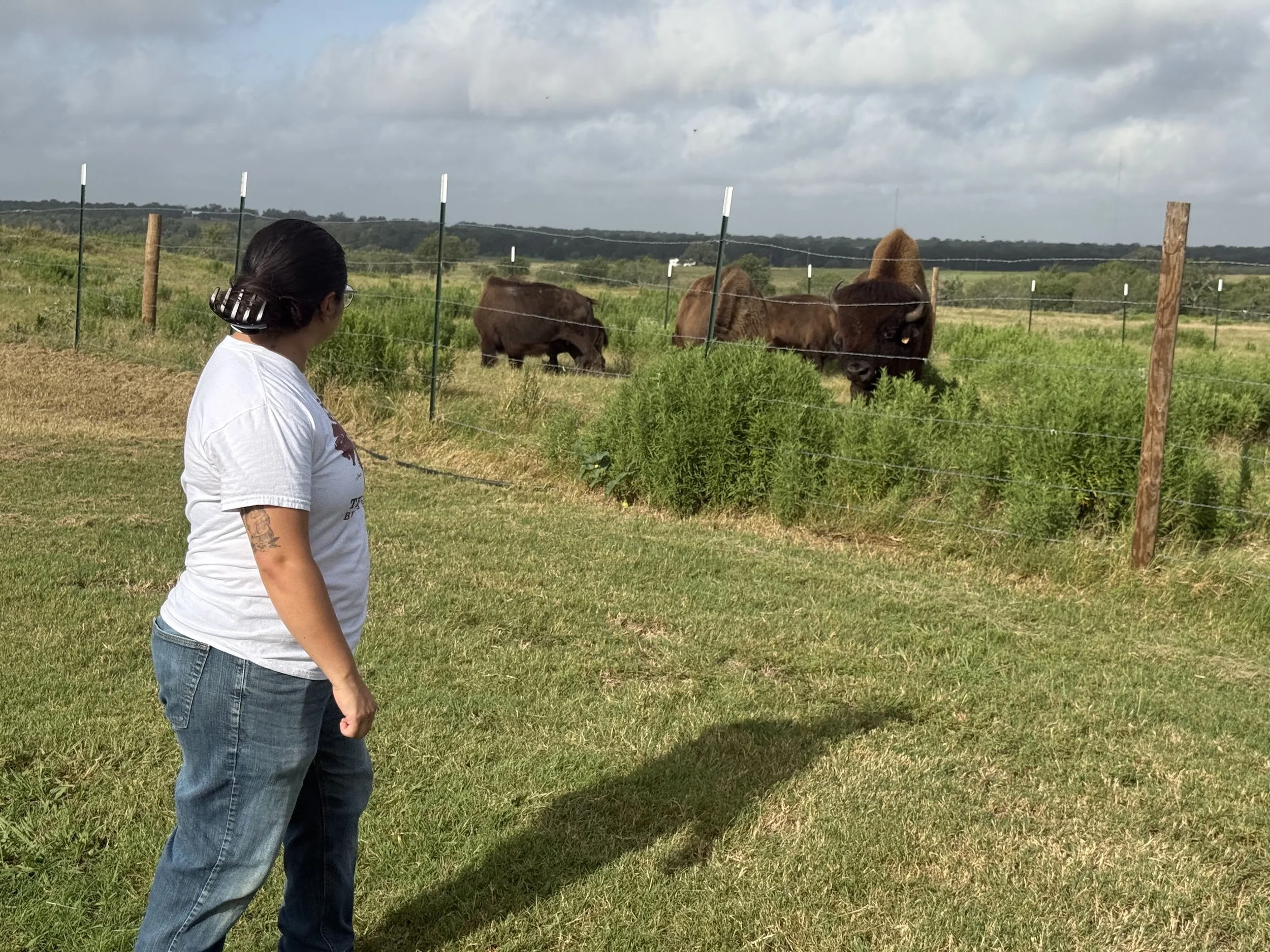 Open House Ranch Day at Floresville: Meet the Herd