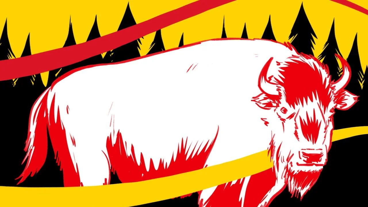 CBC: How the buffalo is unifying nations across Turtle Island