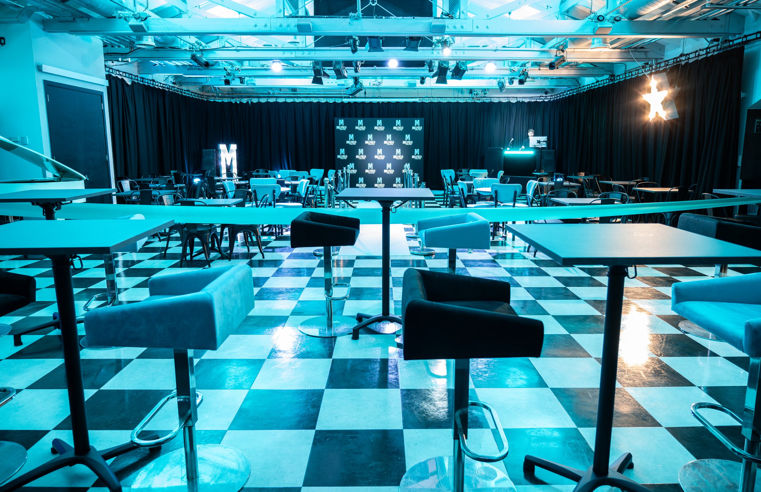 Millfield Theatre_ (48).jpg