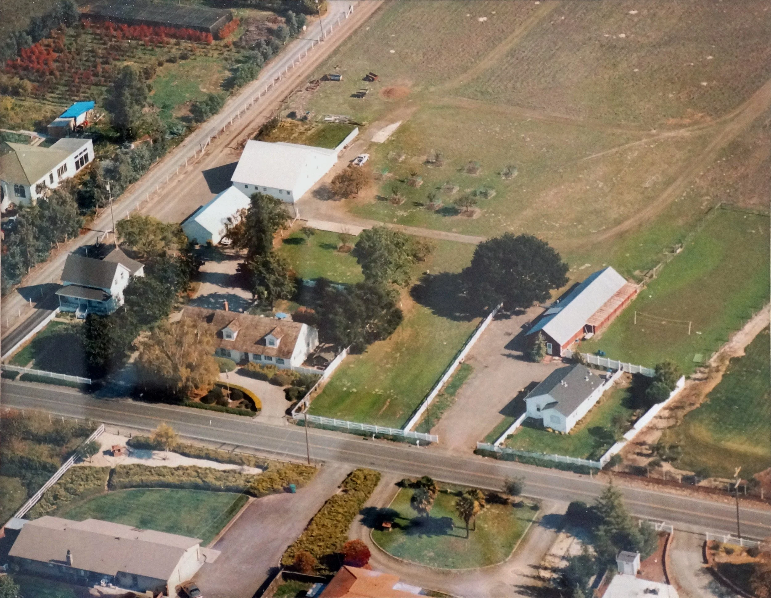 The Story — Live Oak Farm, Petaluma