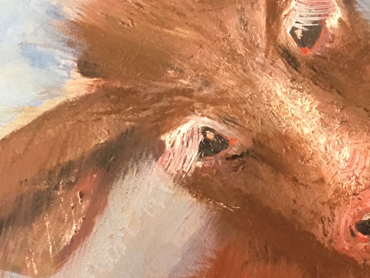 Moo Up Close - acrylic on wood