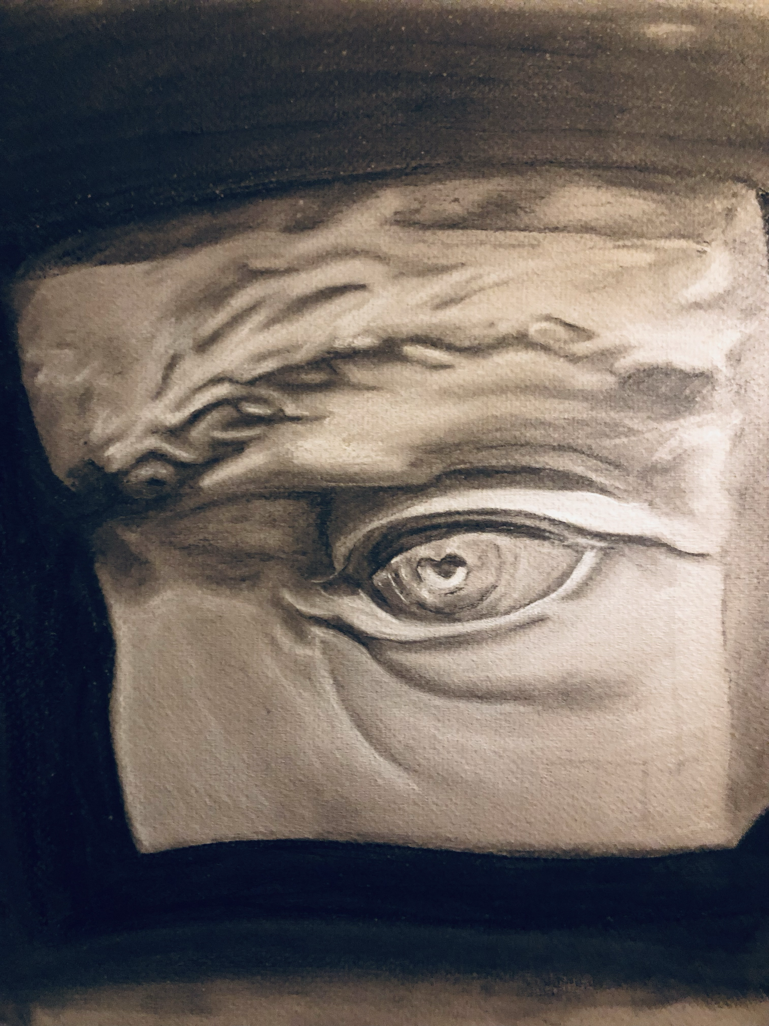 Greek Eye - charcoal and chalk on board.
Commissioned as a request to Ancient Greece.