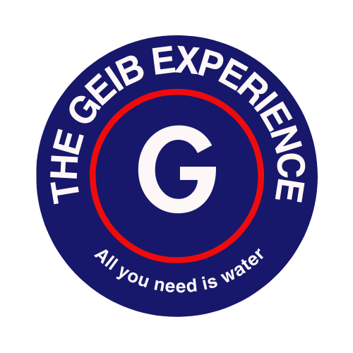 The GEB Experience