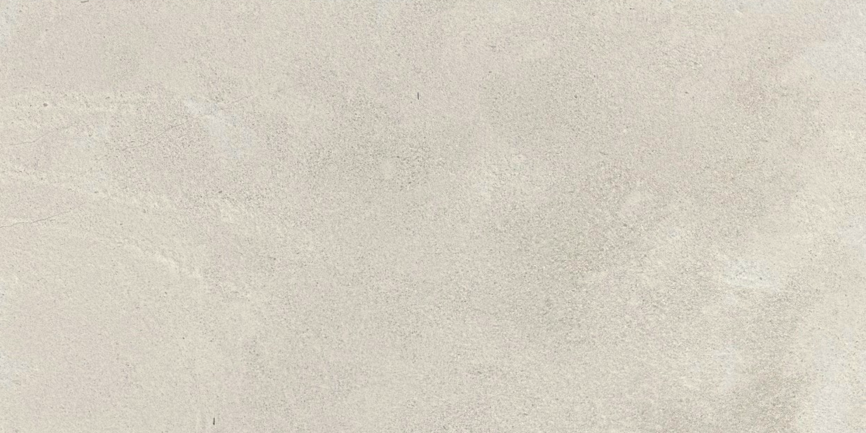 Martigny Brushed 24x48. - Copy.png