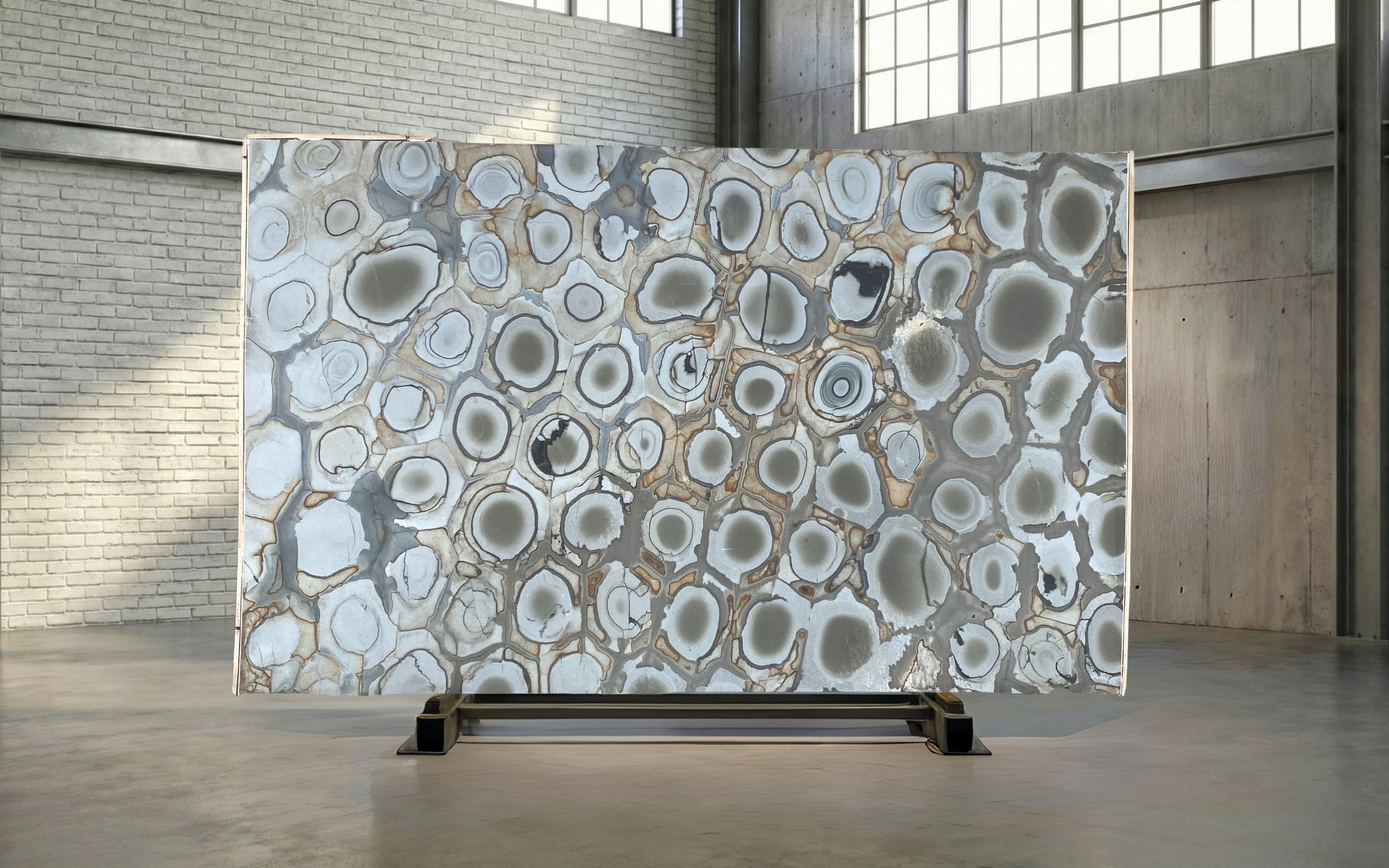 Fossil Leathered Quartzite