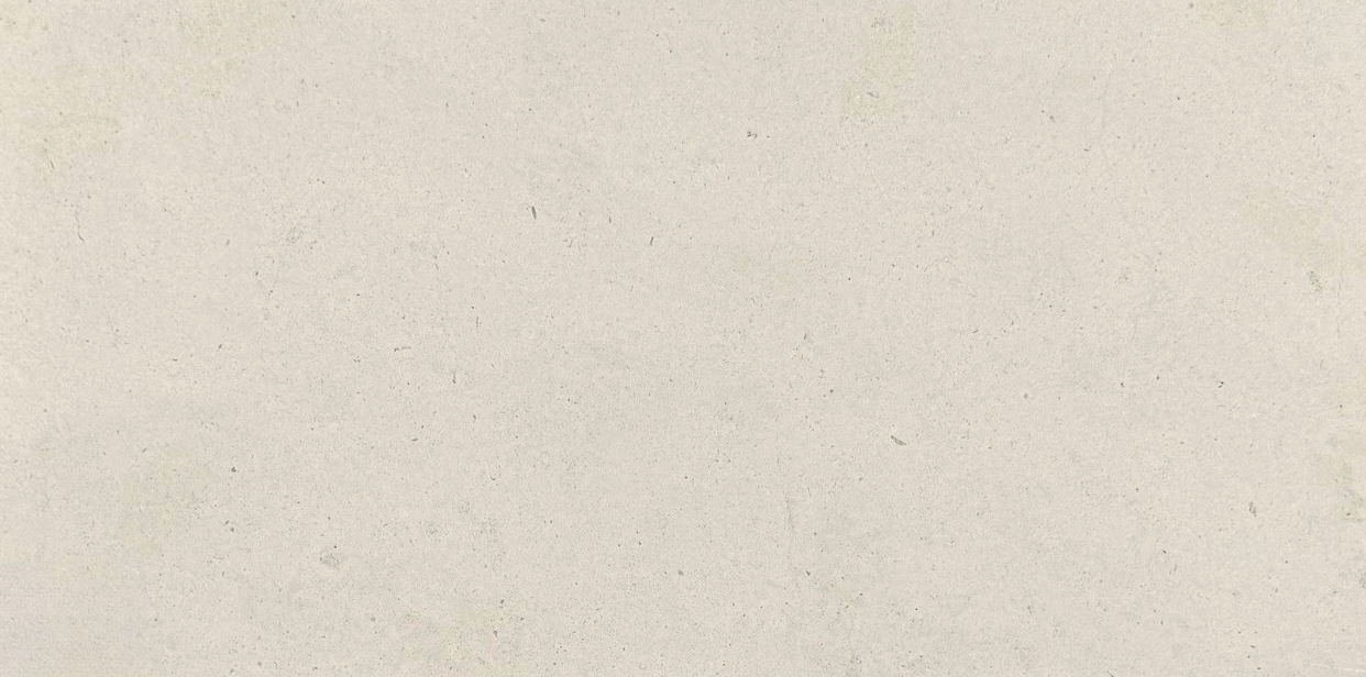 Martigny Honed 24x48 - Copy (3).png