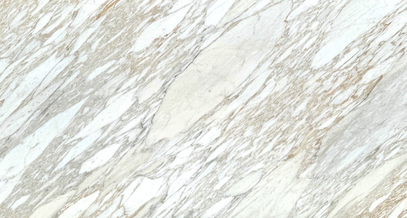 Calacatta Vagli Oro Polished 122x66 260414-26..jpg